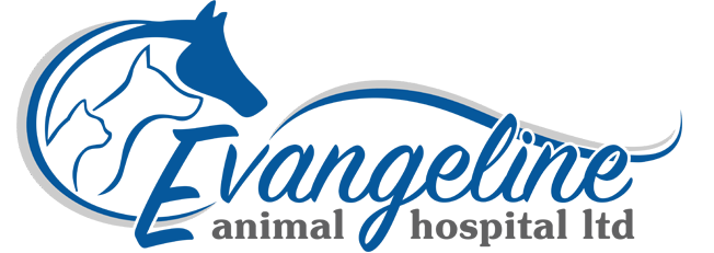 Logo de Evangeline Animal Hospital